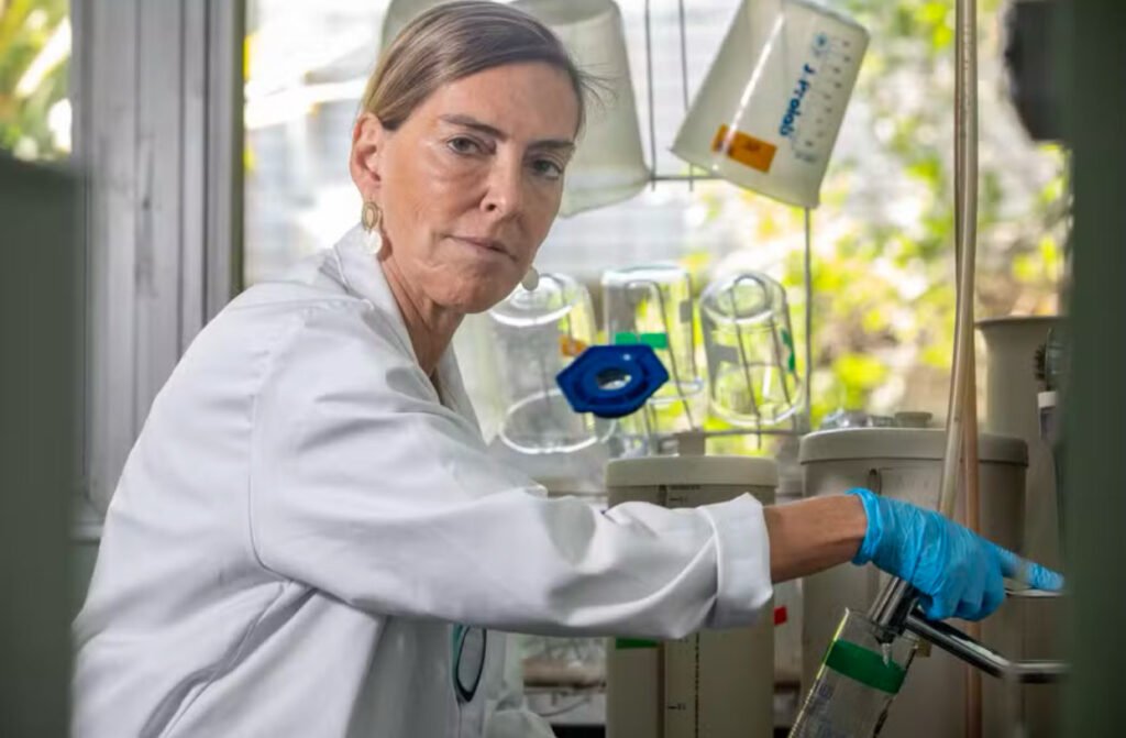 Tatiana Sampaio, head of the Extracellular Matrix Biology Laboratory at UFRJ and responsible for polylaminin, an experimental drug with the potential to repair spinal cord injuries. — Photo: Ana Branco / O Globo