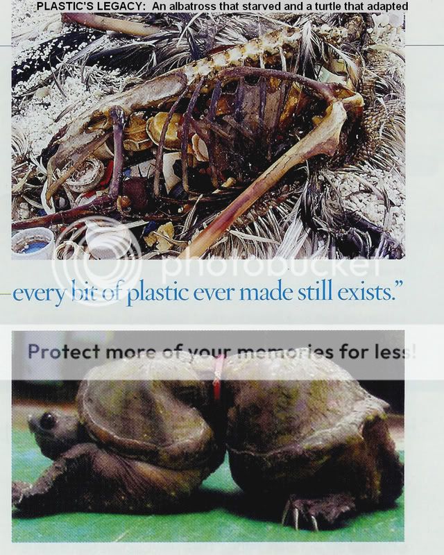 Plasticslegacy.jpg