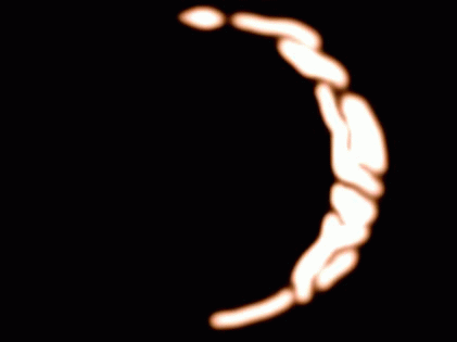 spentity3_zps360420f6.gif