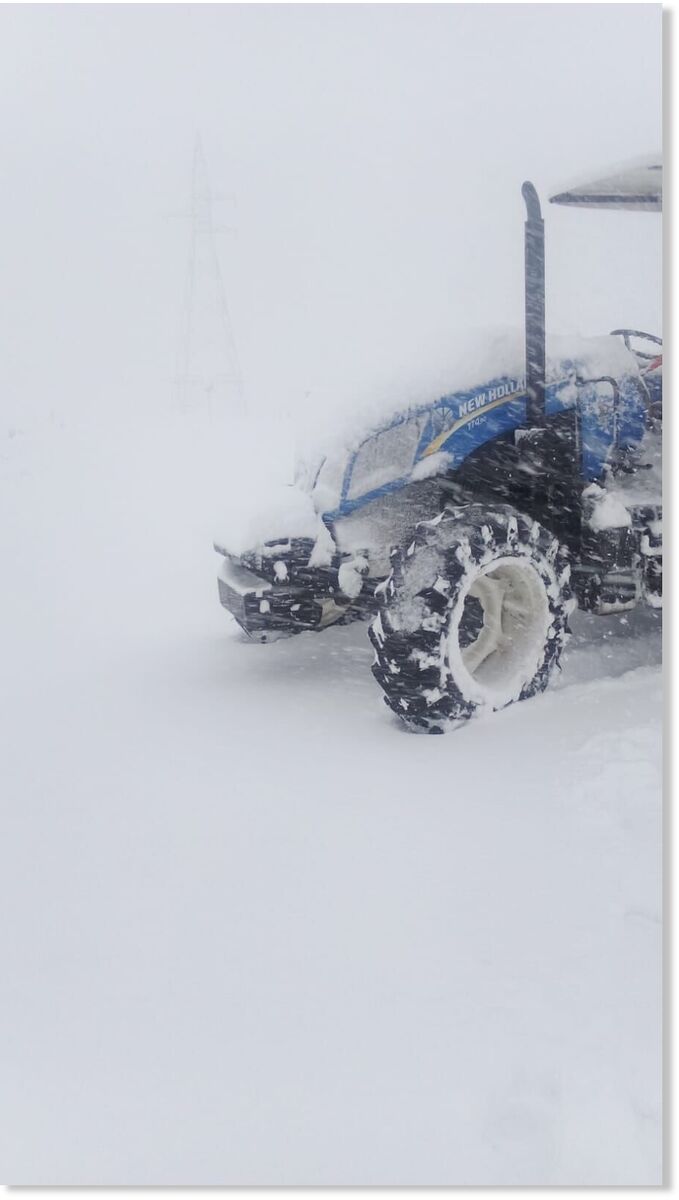 Unexpected snow has caused chaos on roads in South Africa, Namibia, and Lesotho.