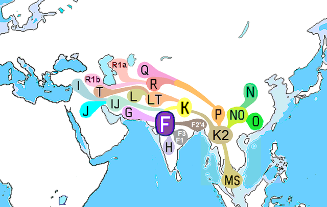 640px-Haplogroup_F_%28Y-DNA%29.PNG