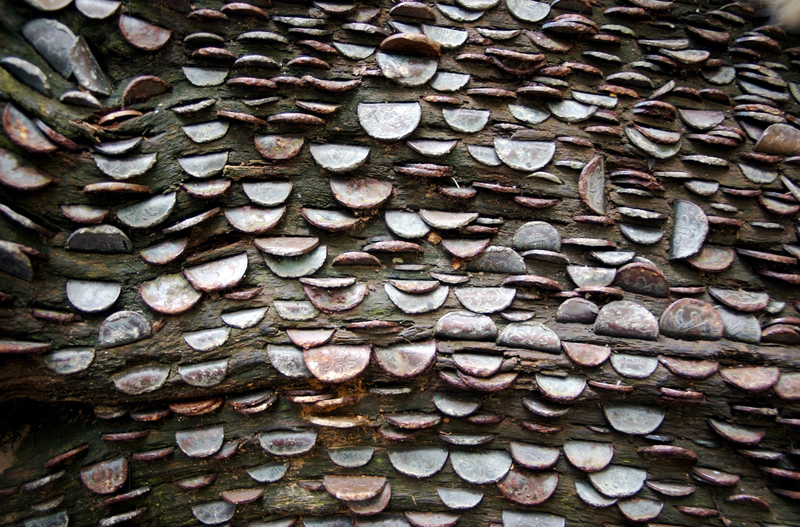 moneytree3.jpg