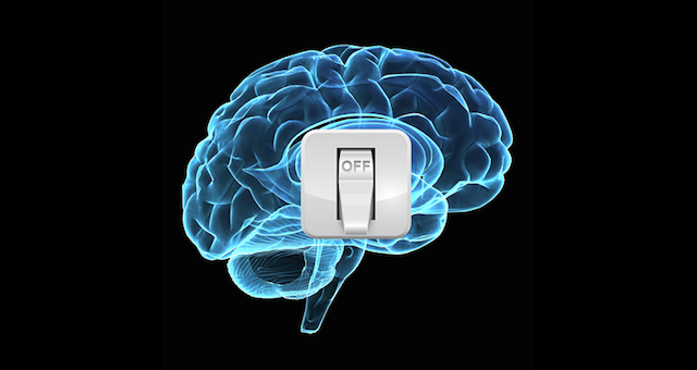 www.sott.net