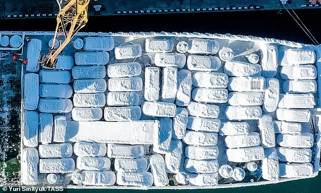An aerial view of an ice-covered Sun Rio cargo ship carrying cars from Japan in the port of Vladivostok. 'The cars are so caked in ice you can't tell the type of vehicle,' said an onlooker