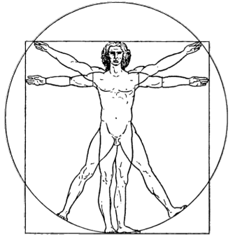 Neufert_Vitruvian_Man.png