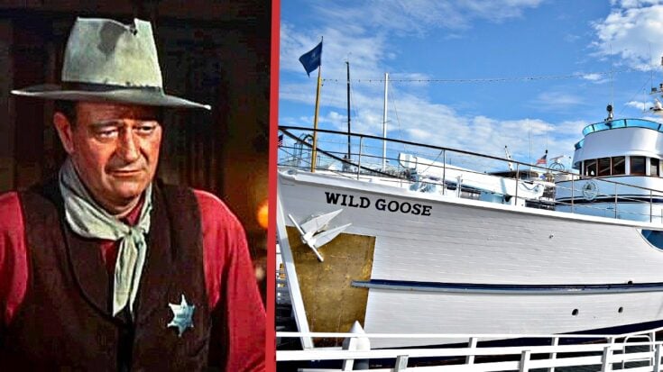 wildgoosewayne-735x413.jpg
