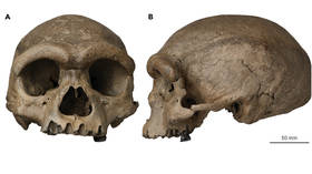 Ancient 140K-year-old ‘Dragon Man’ skull found hidden in Chinese well where it languished, abandoned, for decades