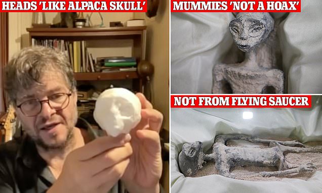 www.dailymail.co.uk