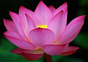 en.minghui.org