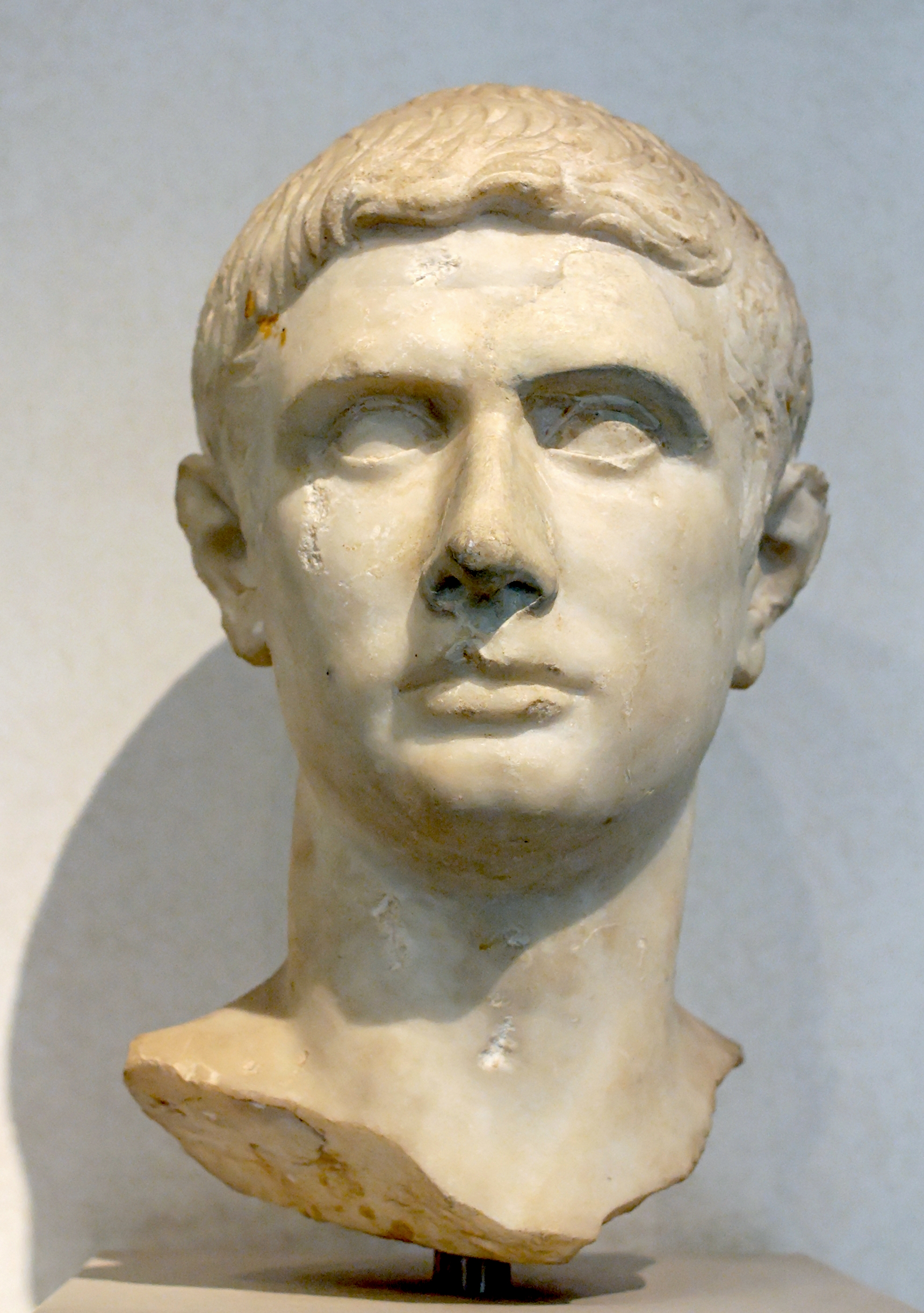 Portrait_Brutus_Massimo.jpg