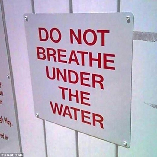 40B252F900000578_4533414_image.jpg