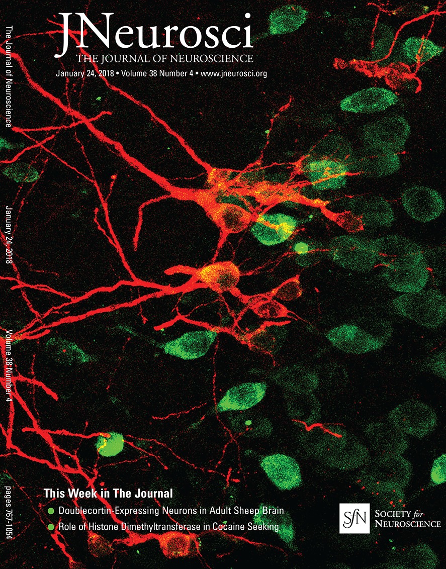 www.jneurosci.org