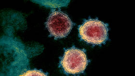 Moscow Mutation? Siberian Strain? WHO puts Covid-19 variant first discovered in Russia on special list for ‘extra monitoring’