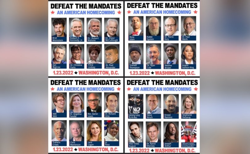 defeat-the-mandates-poster-810x500.jpg