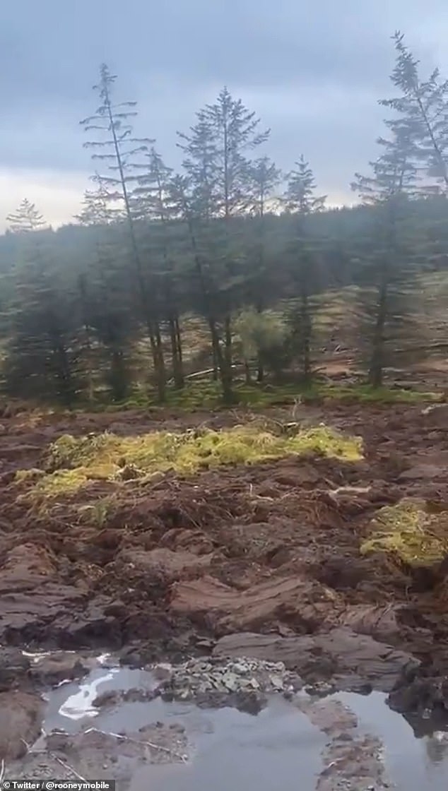 The unsettling incident was the result of a peat slippage on a farm in northern Ireland