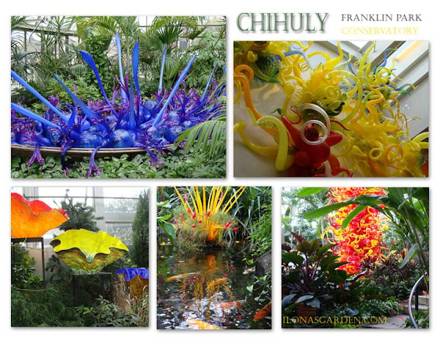 FPchihuly-1.jpg