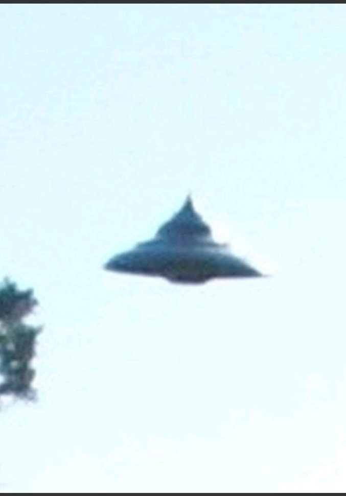 109764_submitter_file1_IMG8019.jpg