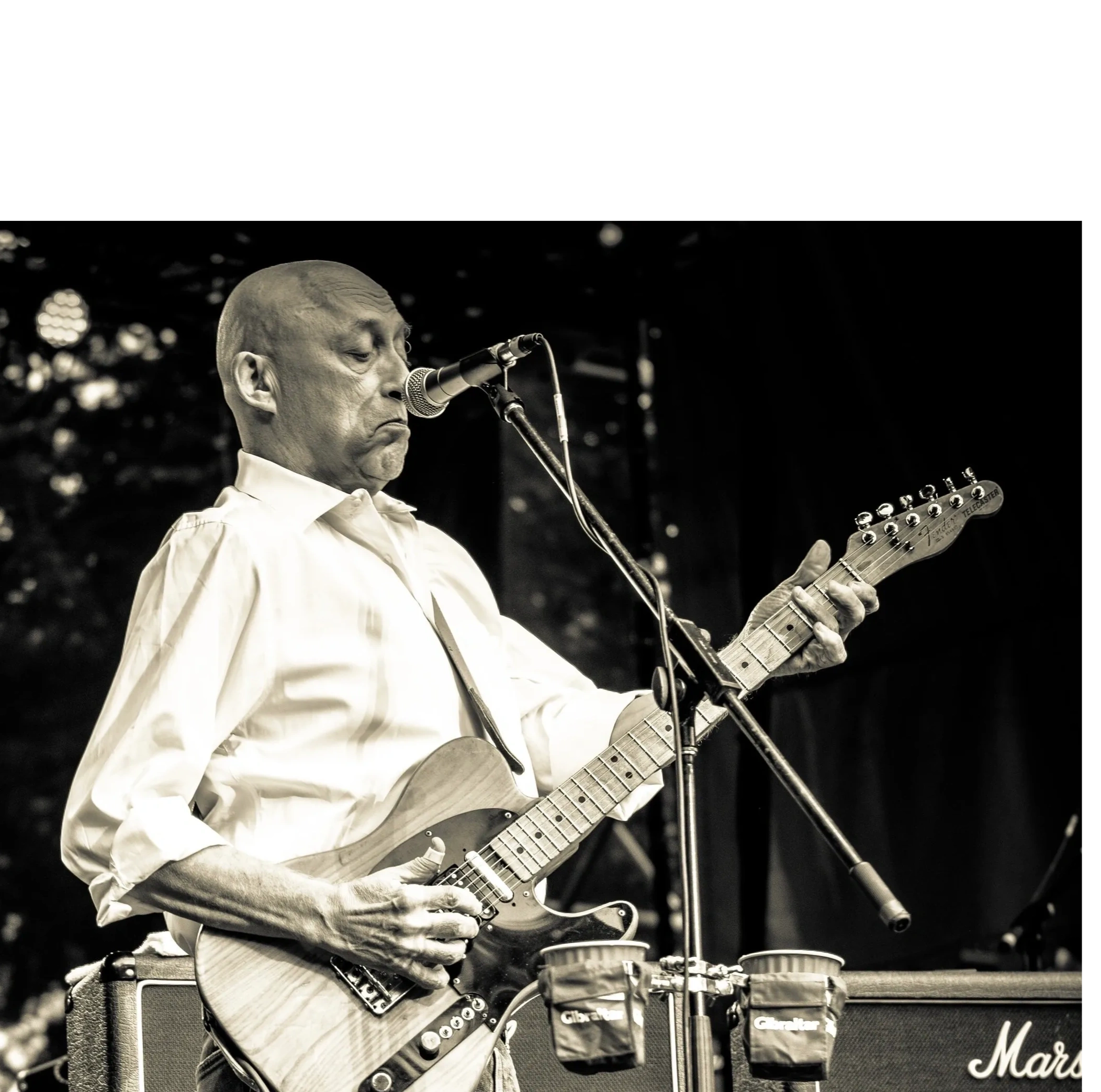 davidwilcox.net