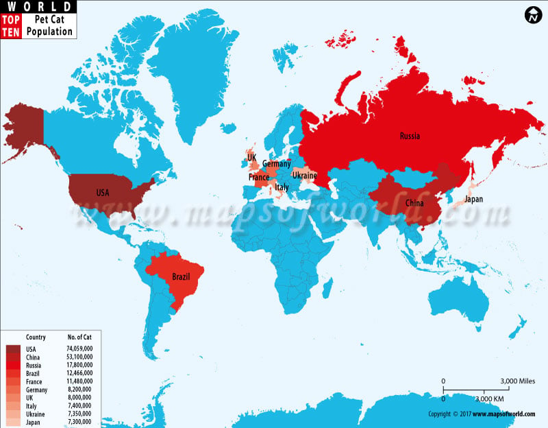 countries-by-pet-cat-population.jpg