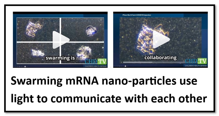 mRNA-swarm.jpg