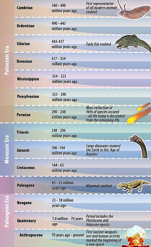 The new geological epoch (shown at the bottom of this diagram) - the name of which means the human epoch - was proposed by Nobel Prize-winning atmospheric chemist Paul Crutzen just 15 years ago, and since then the idea has caught on