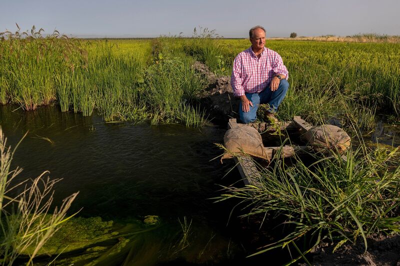 relates to Climate Change Hits Sushi Supply Chain Amid California Water War