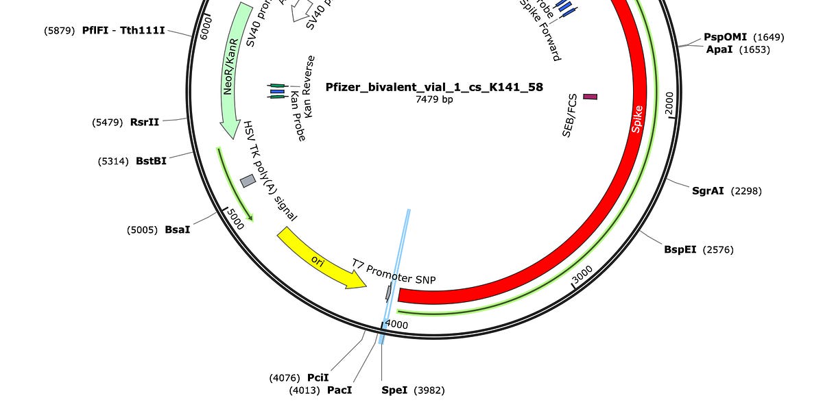 anandamide.substack.com