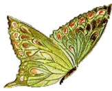 thpapillon01.gif