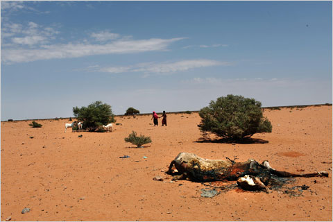 08dotearth_somalia1.480.jpg