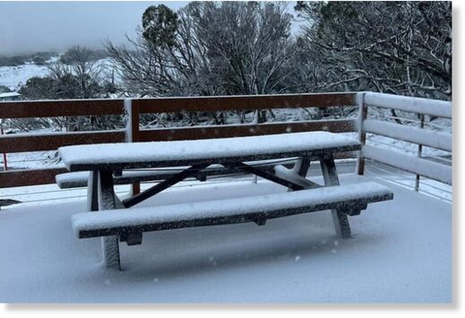 Up to 5cm of snow fell at Perisher and Thredbo.