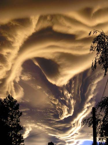 Asperatus-030609a.jpg