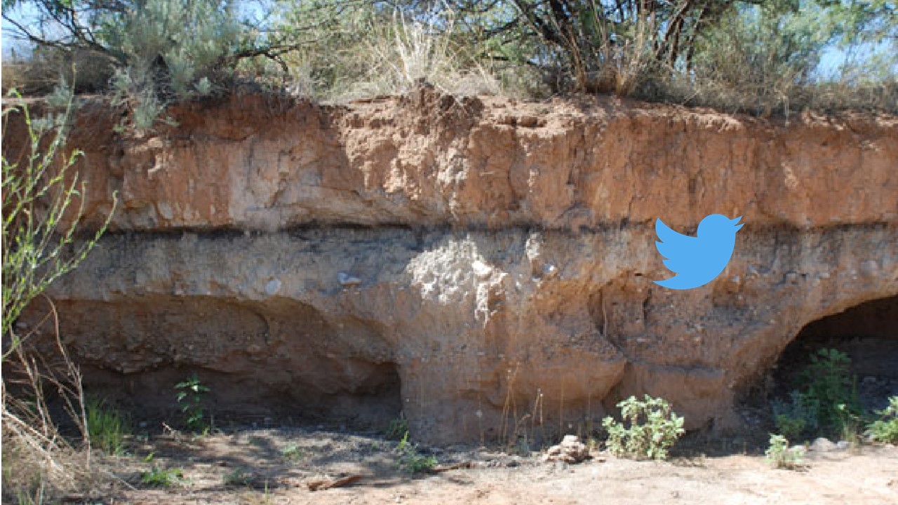 Paleowetland deposits showing black mat