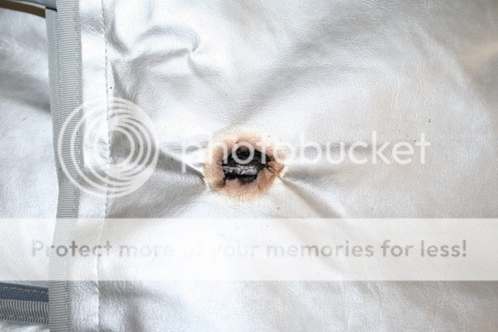 BurninTop.jpg