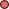 08-measle-red.png
