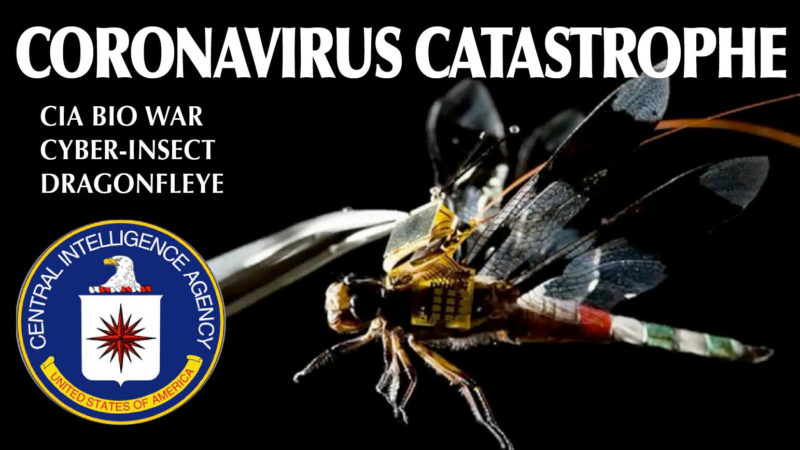 CRORONAVIRUS-CATASTROPHE-800x450.jpg