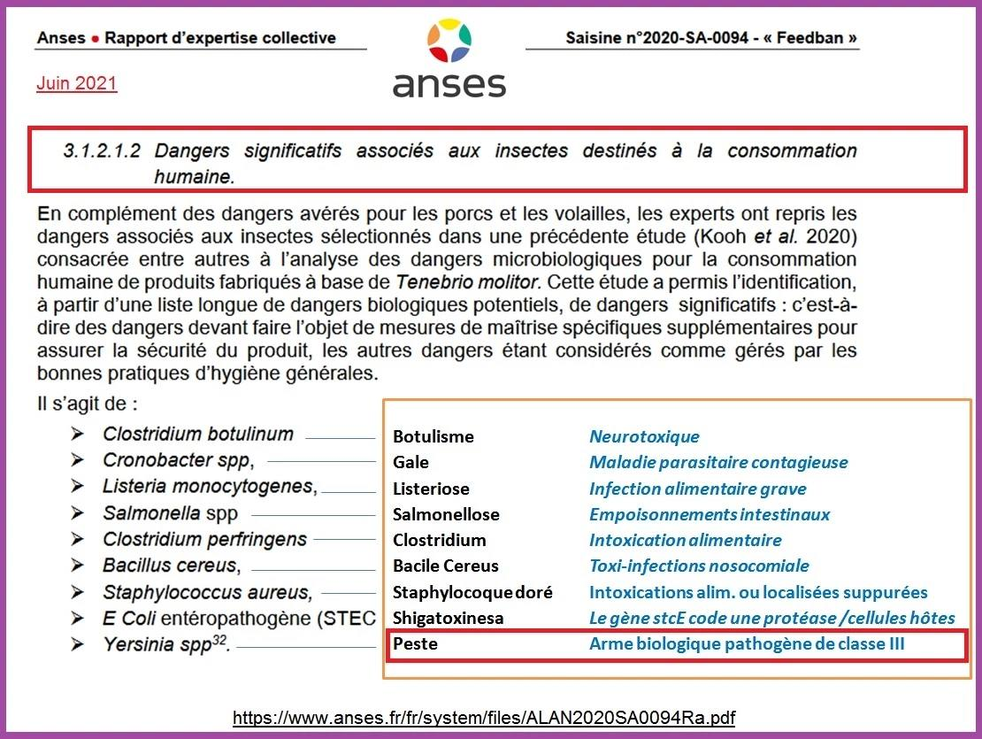 www.relais-info.fr