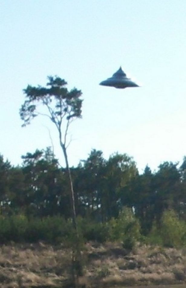 93520717.jpg