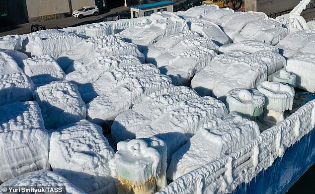 Dozens of ice-covered vehicles are seen on the Sun Rio cargo ship in the port of Vladivosto. Crowds of people came out to witness the cars being lifted from the ship