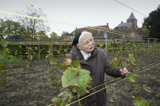 nuns-wine-560x373.jpg