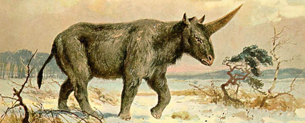 unicorn_1024.jpg