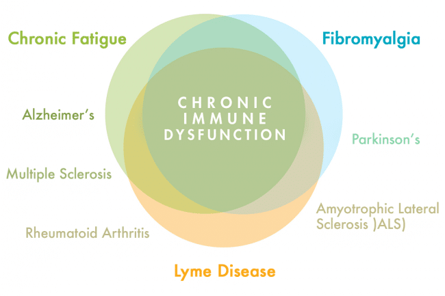 virulence-circles-all-diseases-e1524257825493.png