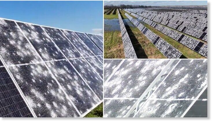 Images captured by Fox affiliate FOX26 Houston KRIV show extensive damage to Fighting Jays Solar in Fort Bend County, Texas.