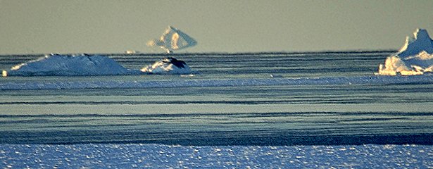 miragesupiceberg.jpg