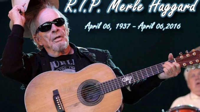 Merle-goodbye-678x381.jpg