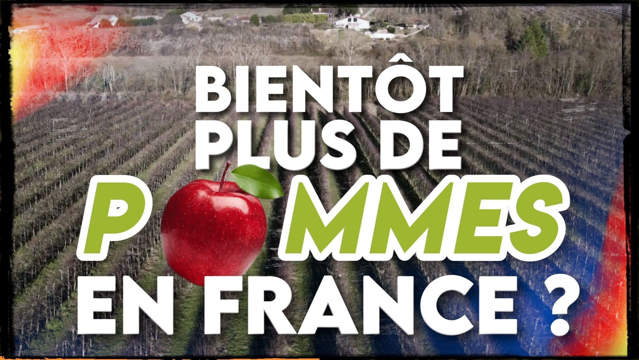 www.bvoltaire.fr