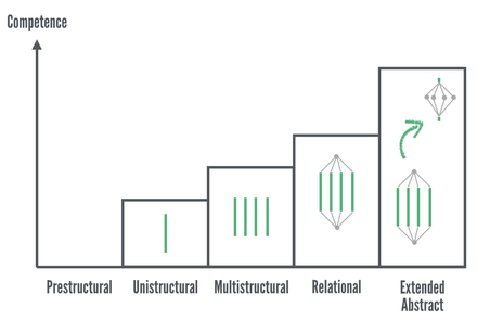 Solo taxonomy