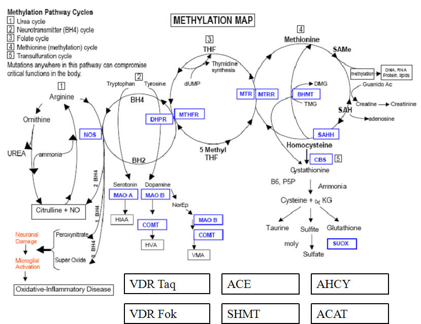 AMRI-N1.jpg