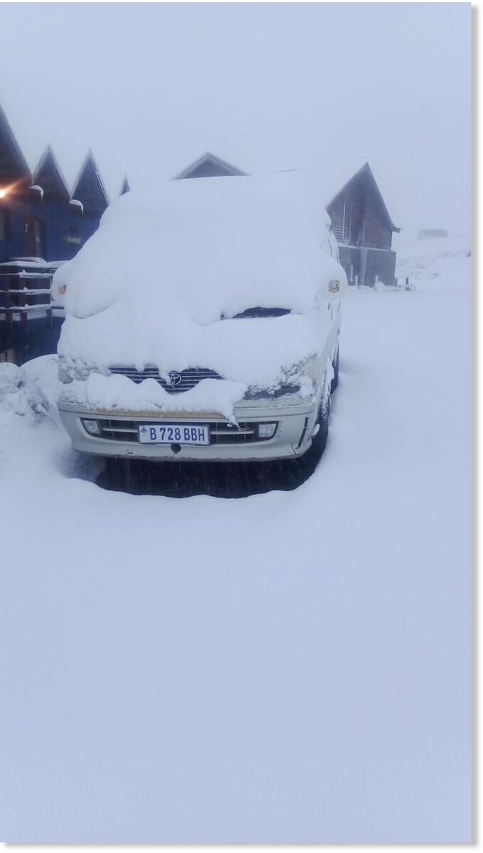 Unexpected snow has caused chaos on roads in South Africa, Namibia, and Lesotho.