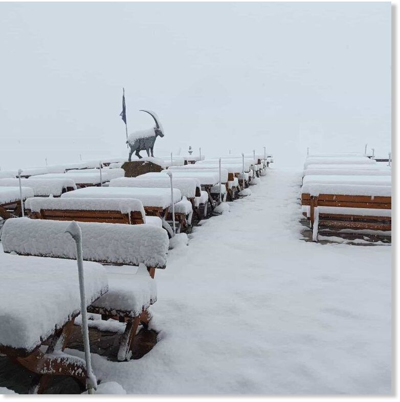 Summer snow has blanketed the Alps.