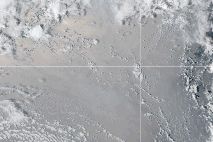 The Hunga Tonga-Hunga Ha'apai volcano eruption is seen from space in this NASA animation.